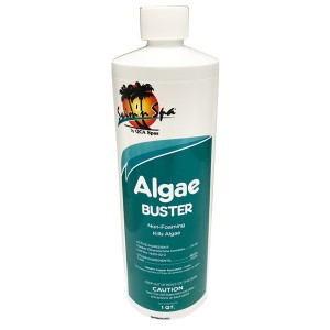 Swim N Spa Algaecide: Algae-Buster (1 QT.)